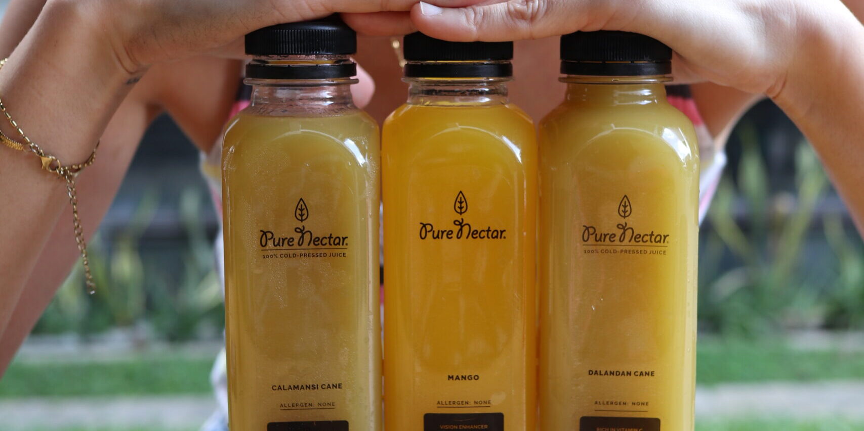 Pure Nectar Business Model Pure Nectar ColdPressed Juices